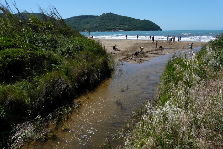 I fossi e lo stagno di Baratti (Piombino - LI)